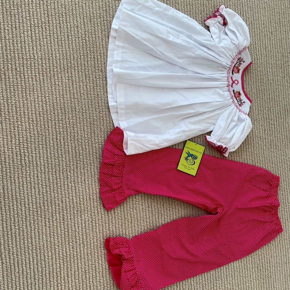 COPY - NWT fall owl smocked outfit